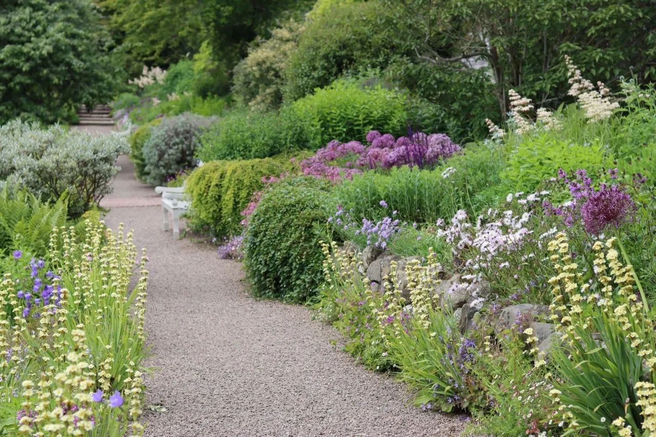 Jak zrobić ścieżkę w ogrodzie ze żwiru – uniknij najczęstszych błędów