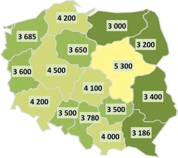 Ile zarabia geodeta w Polsce? Zaskakujące różnice w wynagrodzeniach